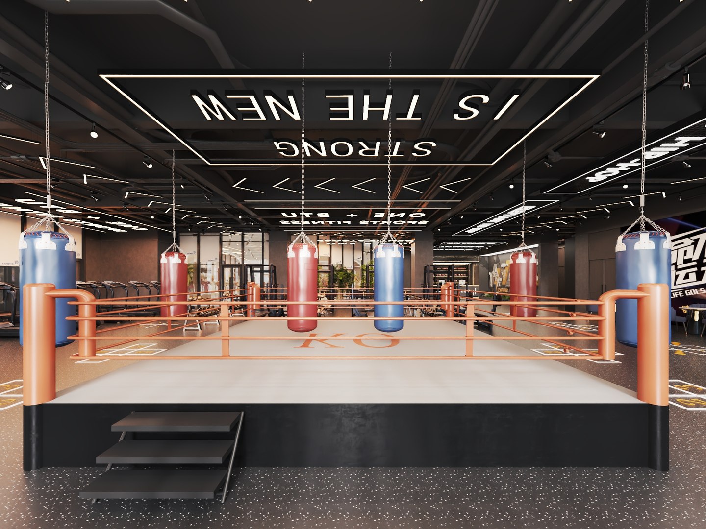 Modern Boxing Gym With Central Fight Ring Model - TurboSquid 2515683