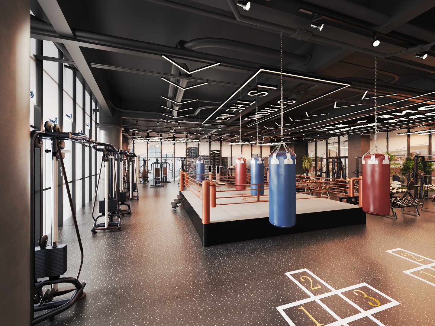 Modern Boxing Gym With Central Fight Ring Model - TurboSquid 2515683