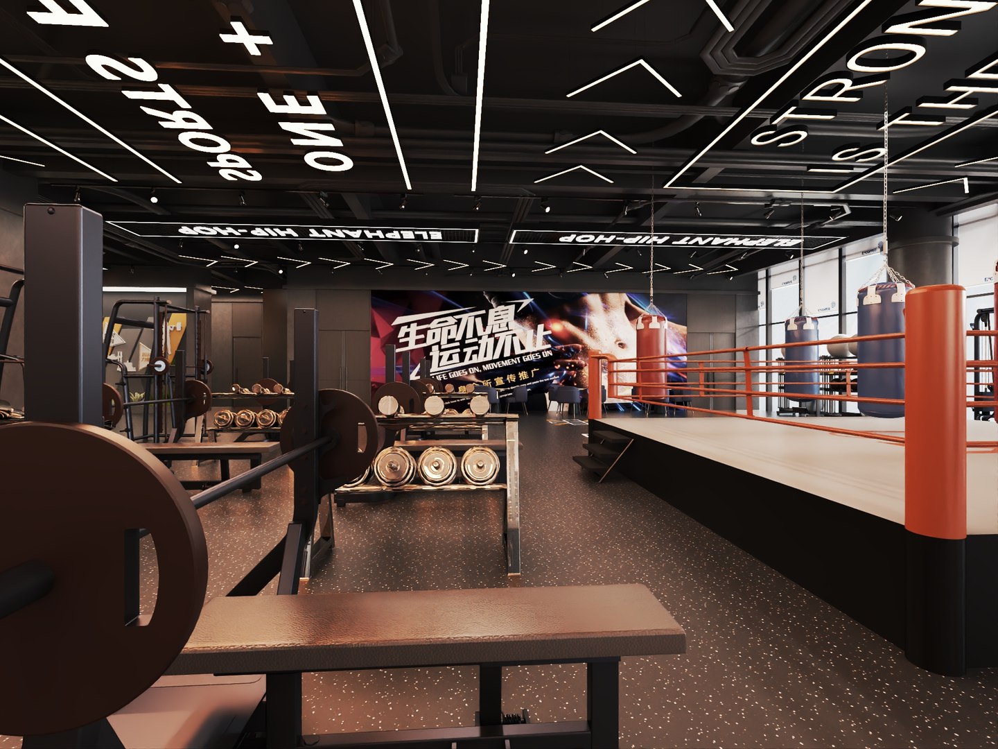 Modern Boxing Gym With Central Fight Ring Model - TurboSquid 2515683