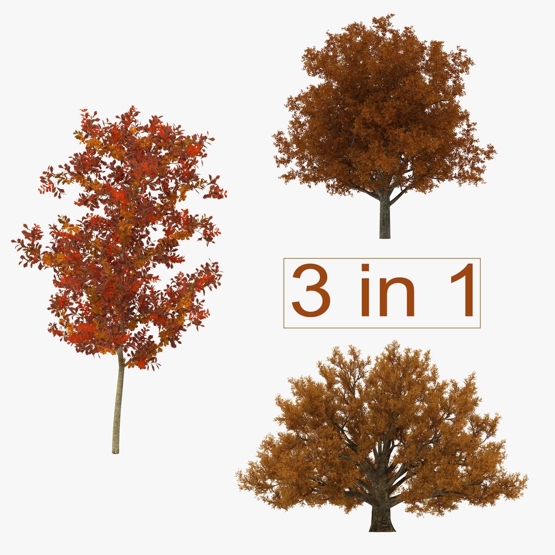Autumn White Oak Trees Collection 3D model preview