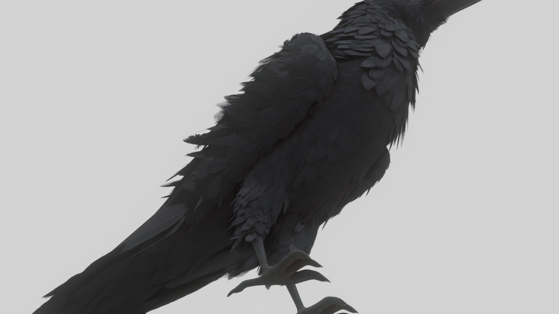 3D Raven Pbr Materials Animation Model - TurboSquid 1582275