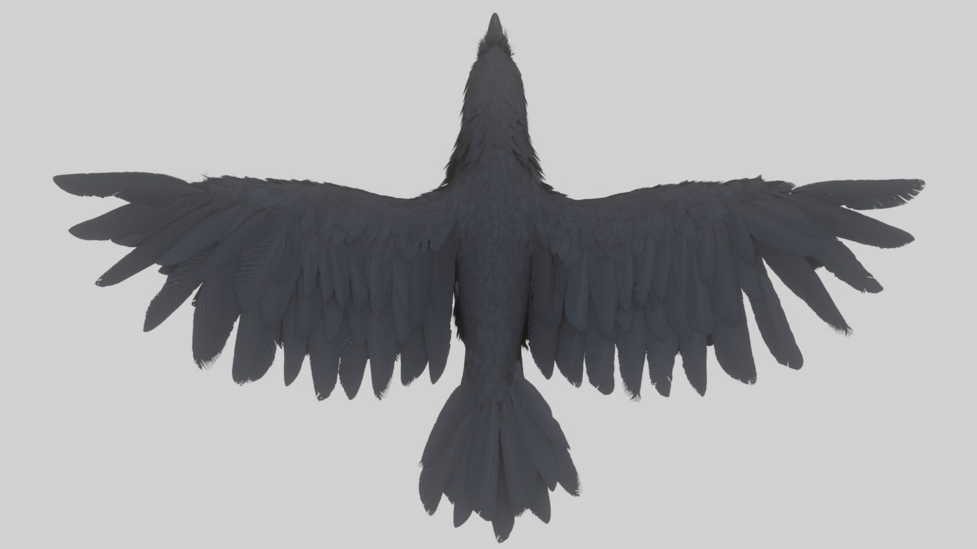 3D Raven Pbr Materials Animation Model - TurboSquid 1582275