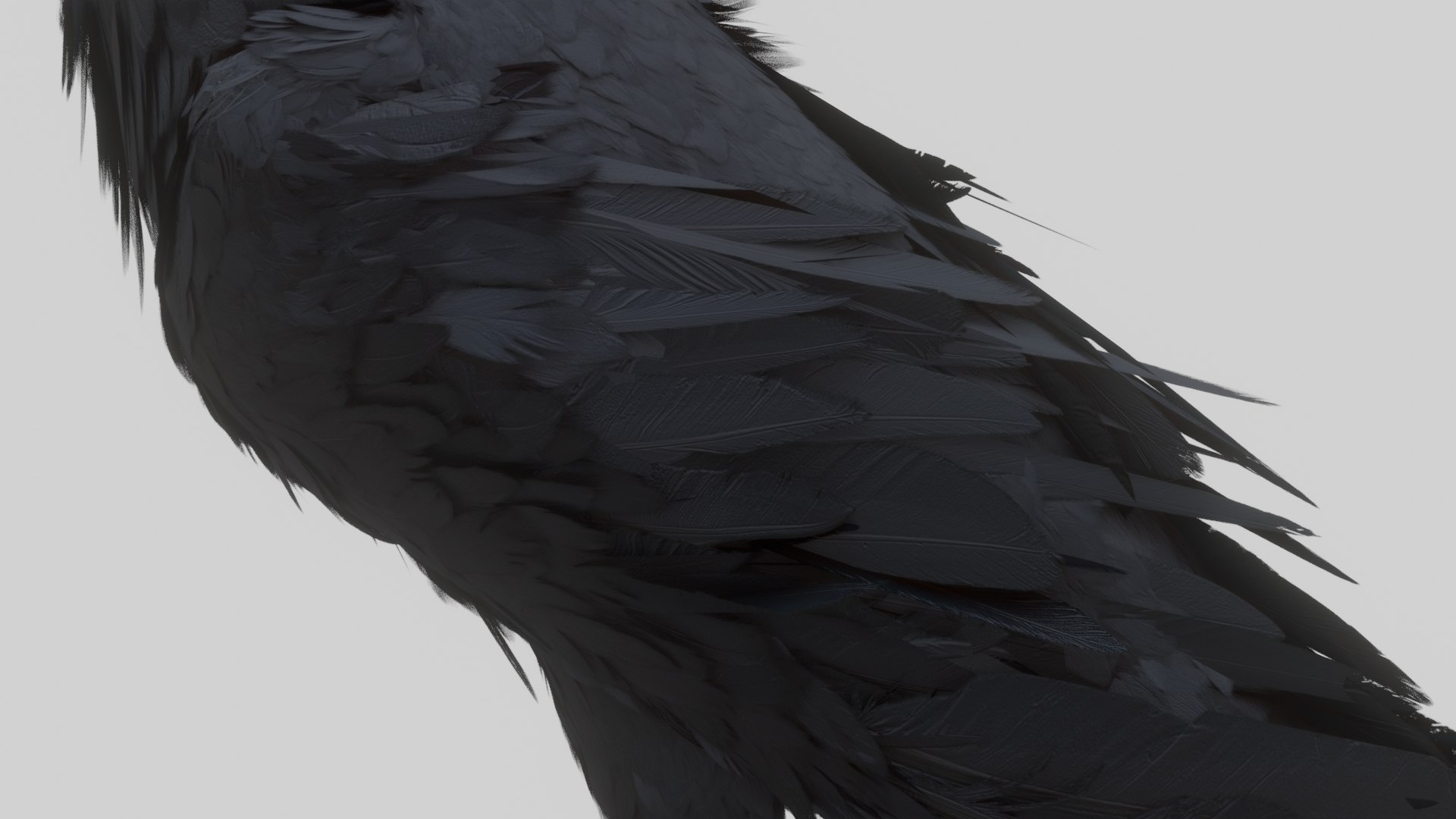 3D Raven Pbr Materials Animation Model - TurboSquid 1582275