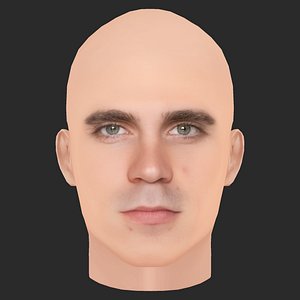 3D Low Poly Yann Bean Head model