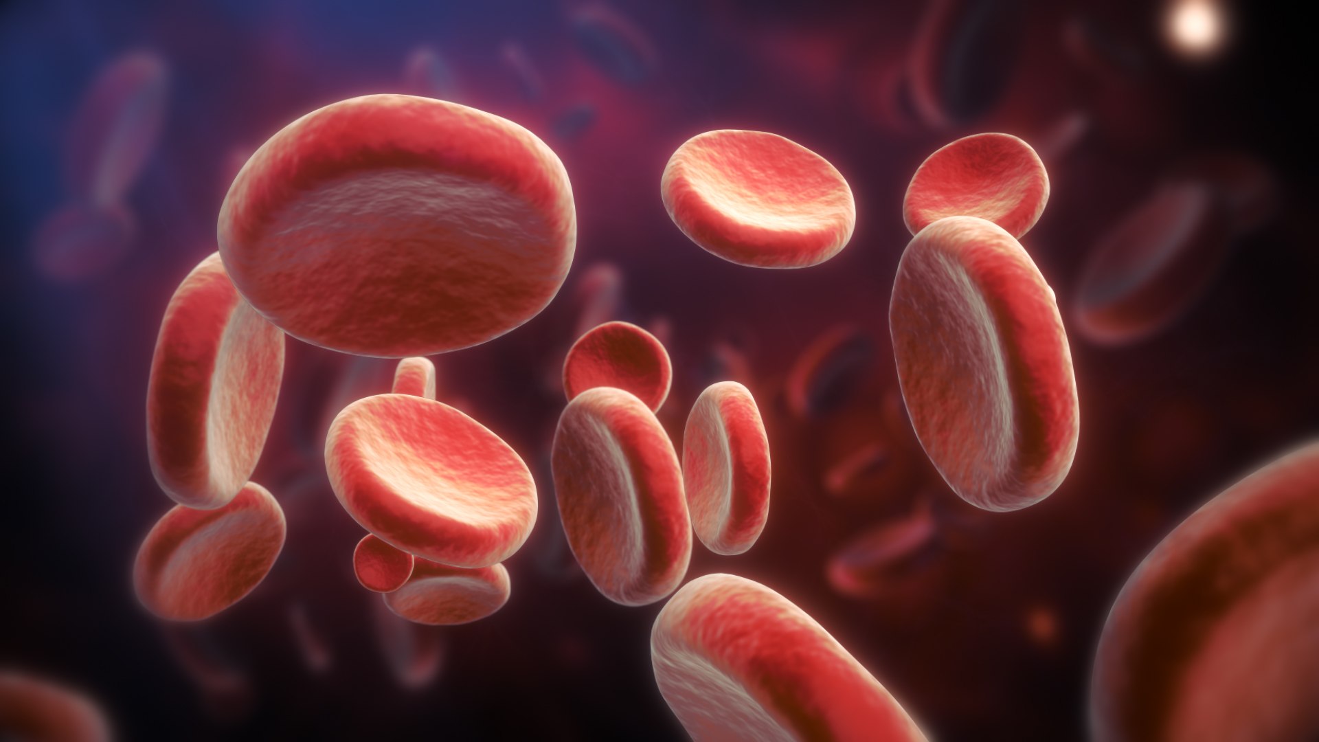 3D Red Blood Cells Animated Scene - TurboSquid 1941318