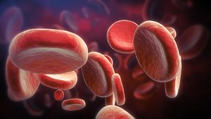 3D Red Blood Cells Animated Scene