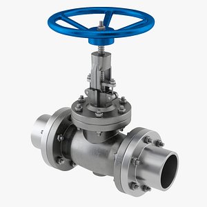 Gate Valve