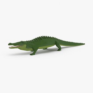 Alligator Walking