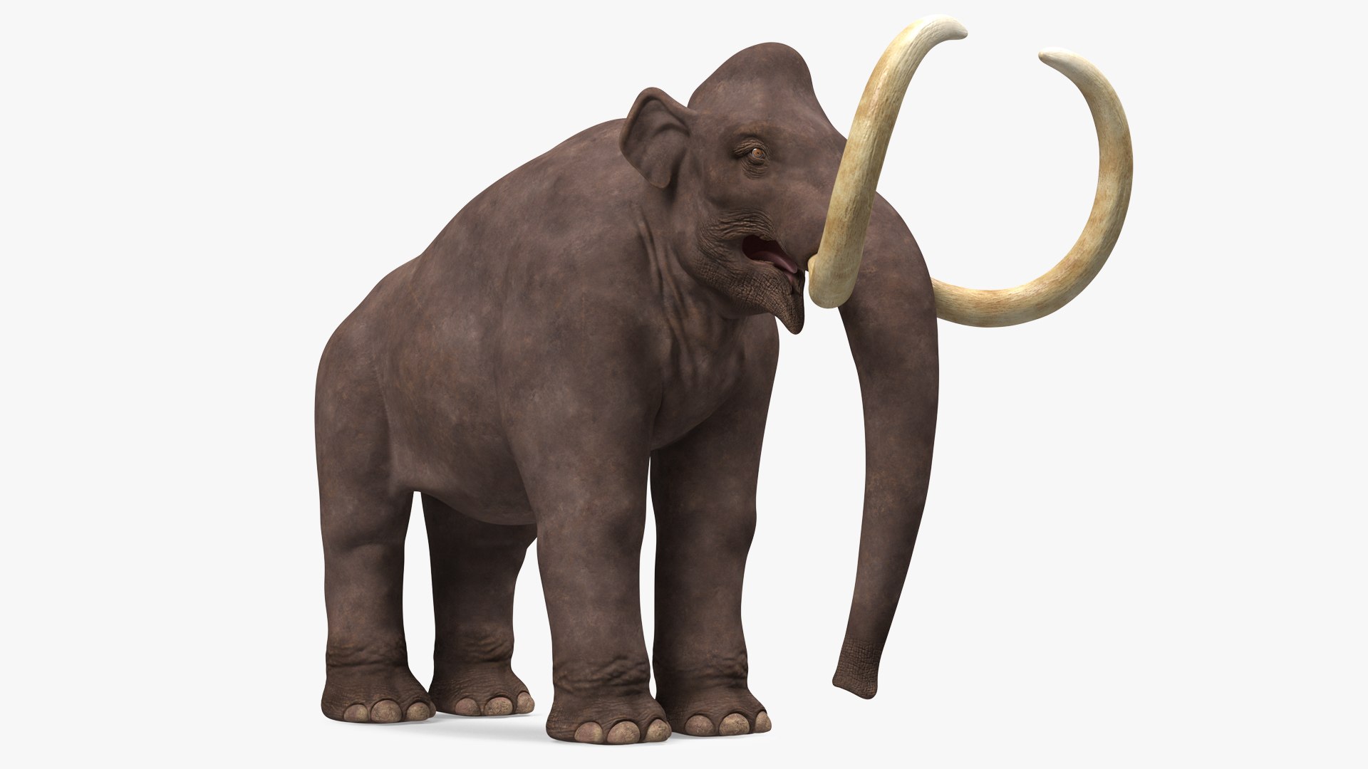 Mammoth Adult Rigged for Maya 3D model preview