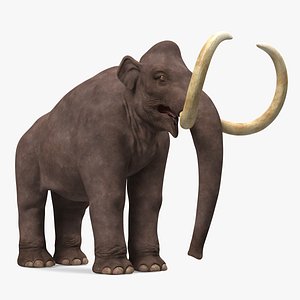 3D Mammoth Adult Rigged for Maya