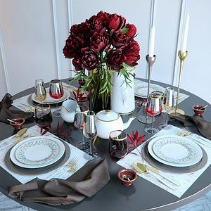 table 3d model