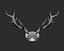 skull horns deer 3D model