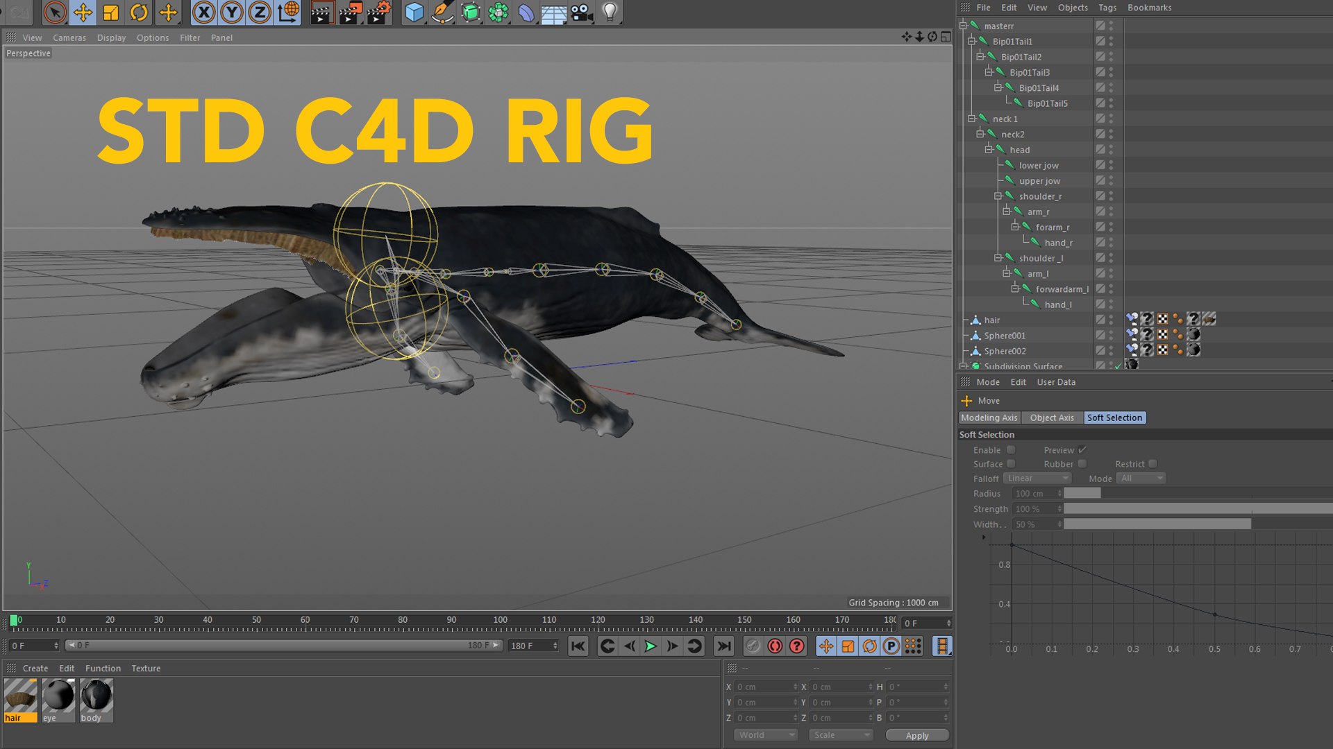 hump whale rigged 3D https://p.turbosquid.com/ts-thumb/AW/gfZhTQ/N4n2COSt/31/jpg/1565604148/1920x1080/fit_q87/012b15c9473d0424c5b18ffda00c0381ce1cca95/31.jpg