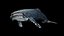 hump whale rigged 3D