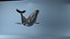hump whale rigged 3D