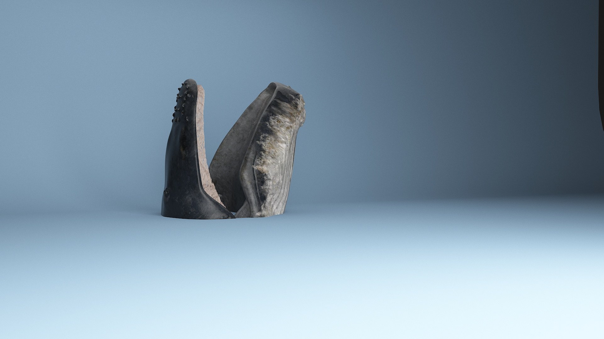 hump whale rigged 3D https://p.turbosquid.com/ts-thumb/AW/gfZhTQ/xKYtY6LE/27/jpg/1565604147/1920x1080/fit_q87/1c2b028fad40ed633447f560bdb925d4263604b6/27.jpg
