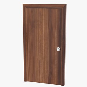 Flush door with frame