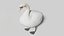 3D model Realistic swan OBJ