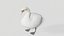 3D model Realistic swan OBJ