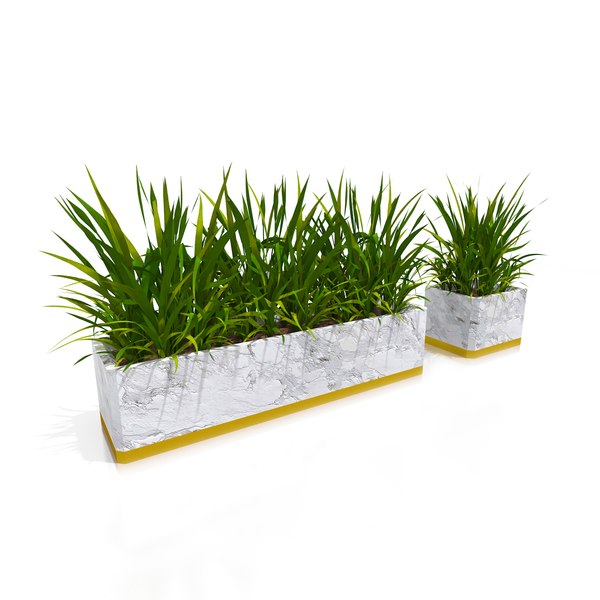 3D hairy plant classy pot model