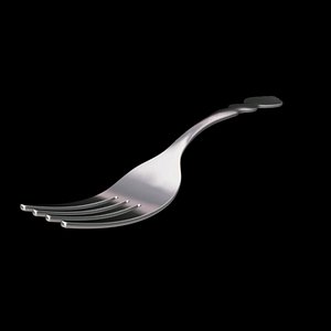 fork01