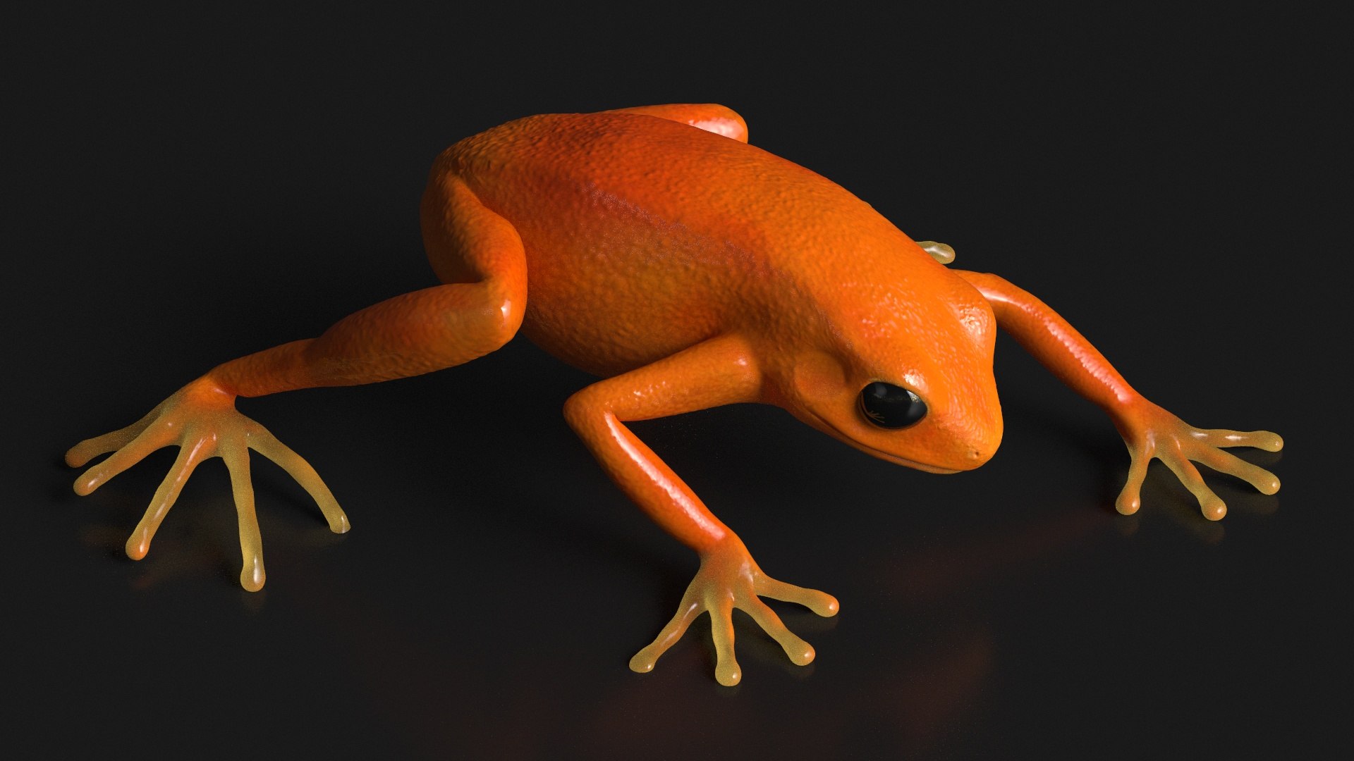 3D model Realistic Tropical Mantella Frog Rigged for Maya https://p.turbosquid.com/ts-thumb/AX/HkSy3t/C7/realistic_tropical_mantella_frog_rigged_005/jpg/1750833498/1920x1080/fit_q87/72e137e27648640b2ef310efd464f8ddba55572b/realistic_tropical_mantella_frog_rigged_005.jpg