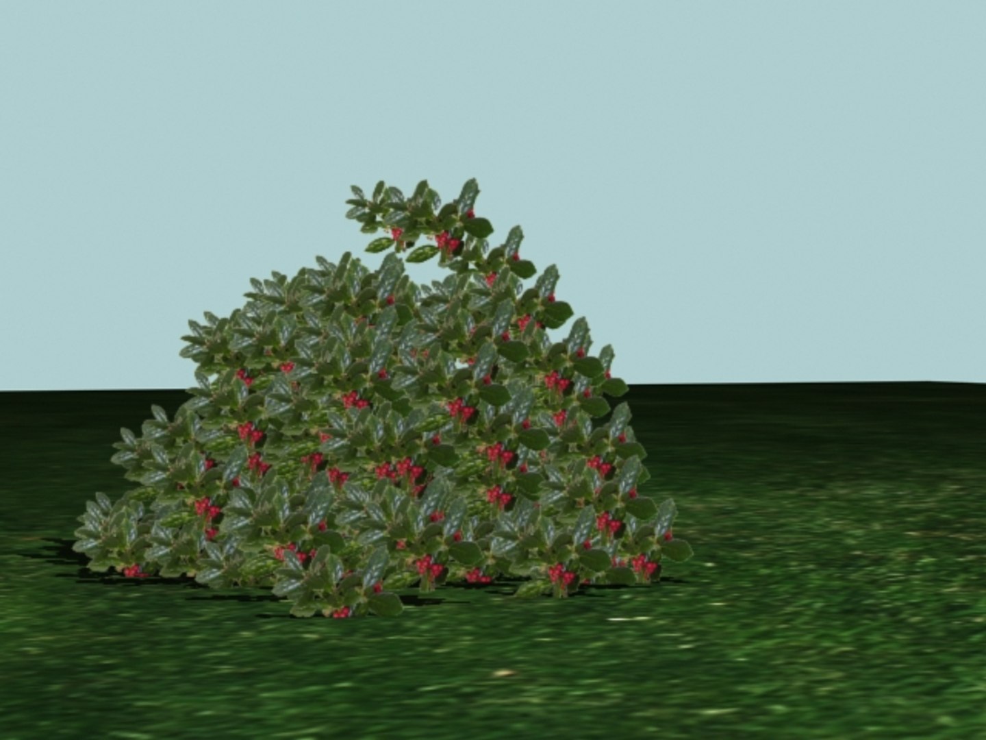 3d Model Bush