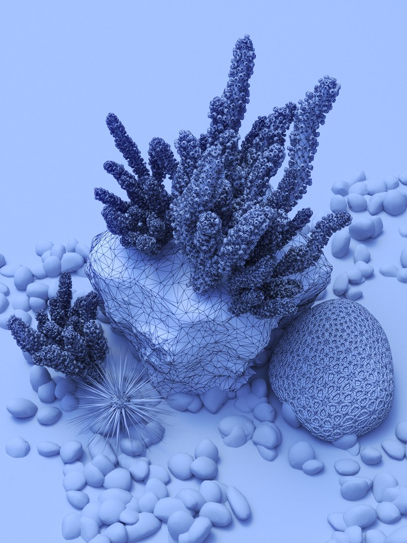 3D Coral Reefs Model - TurboSquid 1566406