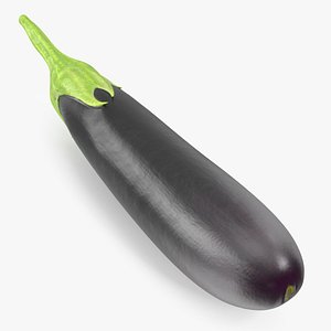 Solanum Melongena Aubergine