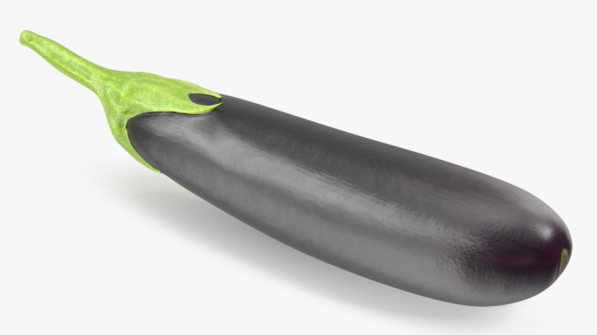 Solanum Melongena Aubergine 3D model preview