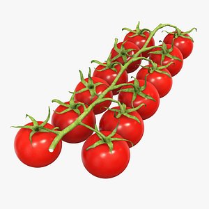 3D branch red tomato