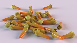 3D Clove bud spice