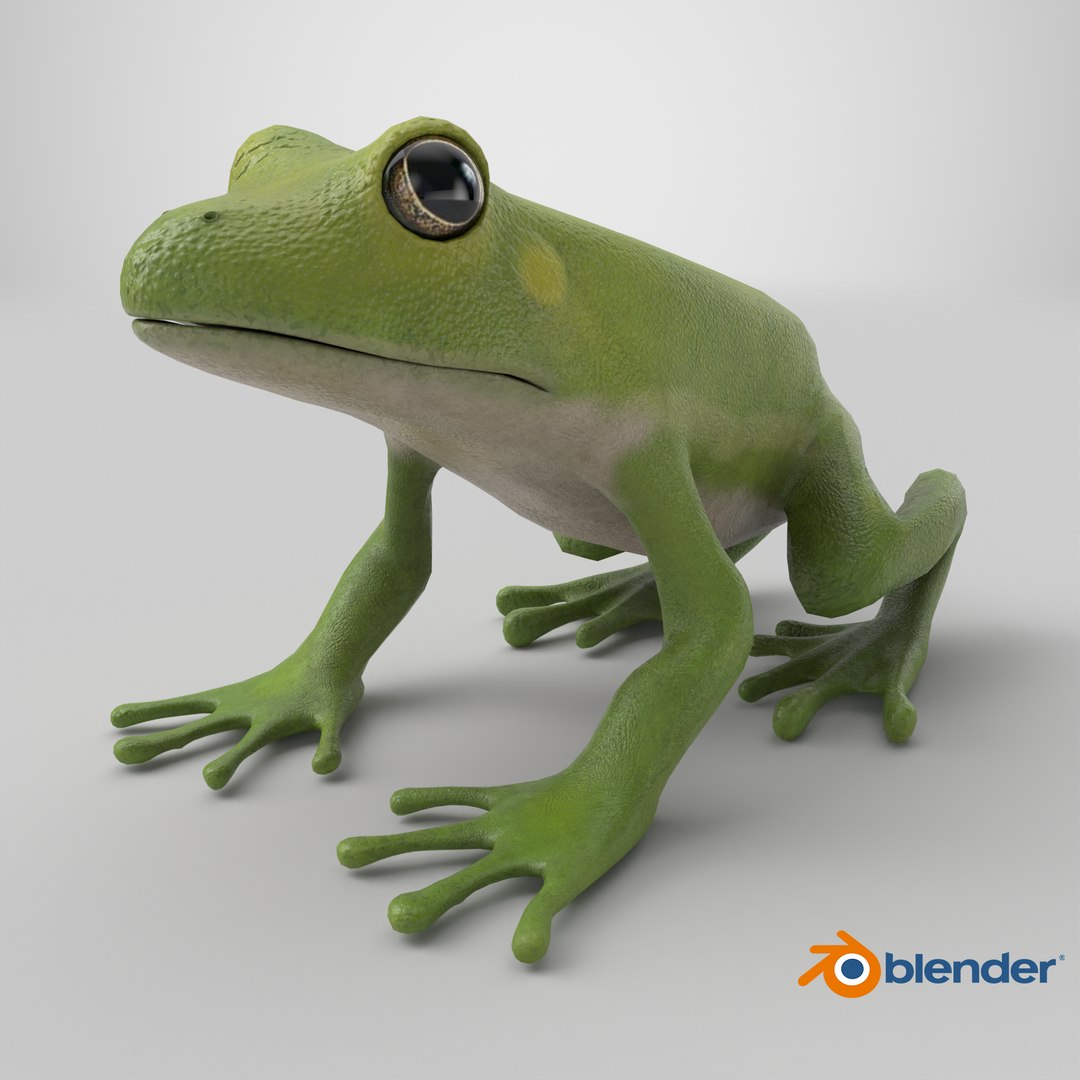 3D Green Tree Frog - TurboSquid 2167406