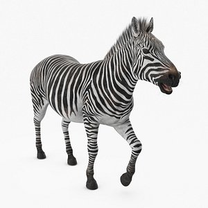 Zebra of Serengeti Rigged Fur