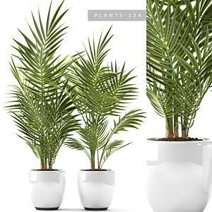 3D plants 124