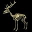 Deer Skeleton