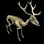 Deer Skeleton