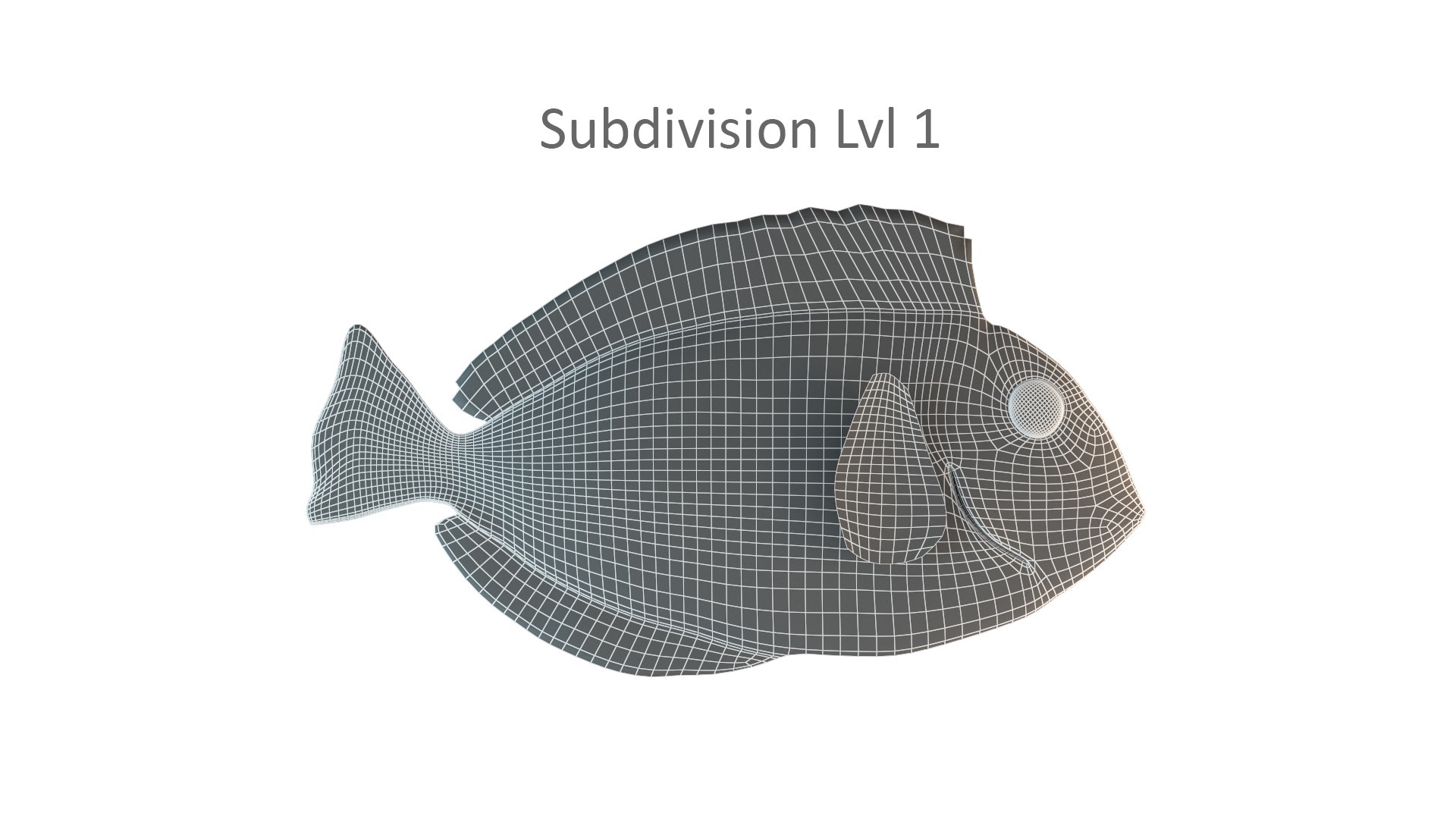Realistic Fish Blue Tang Model - TurboSquid 1599320