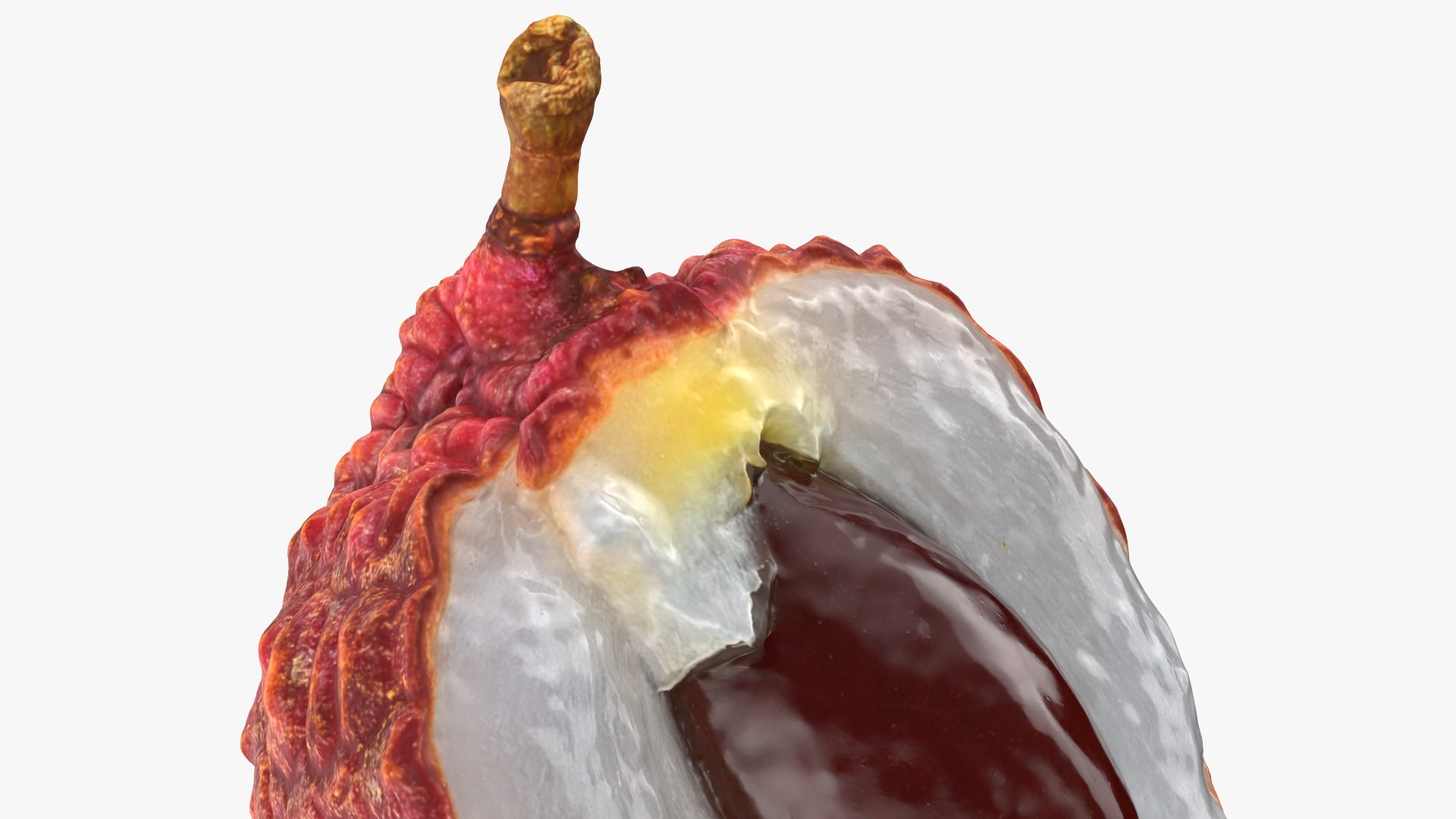3D Half Lychee 01 https://p.turbosquid.com/ts-thumb/AY/Nsrugw/V4/lycheehalf01_0007/png/1759479267/1920x1080/fit_q87/094e6d8572b4e3375c49517eab5be6fe84dc87fd/lycheehalf01_0007.jpg