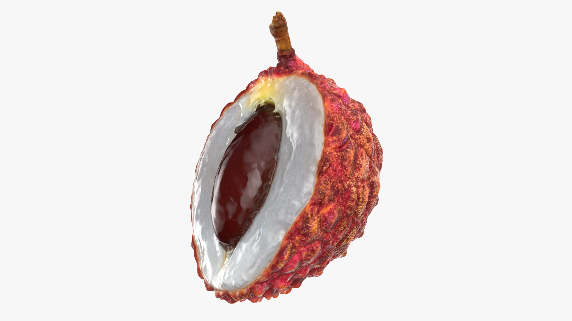 3D Half Lychee 01 https://p.turbosquid.com/ts-thumb/AY/Nsrugw/l6/lycheehalf01_0010b/png/1759479271/1920x1080/fit_q87/ba529d28c5a7c57ba4dbc3f21d246bea092917ee/lycheehalf01_0010b.jpg