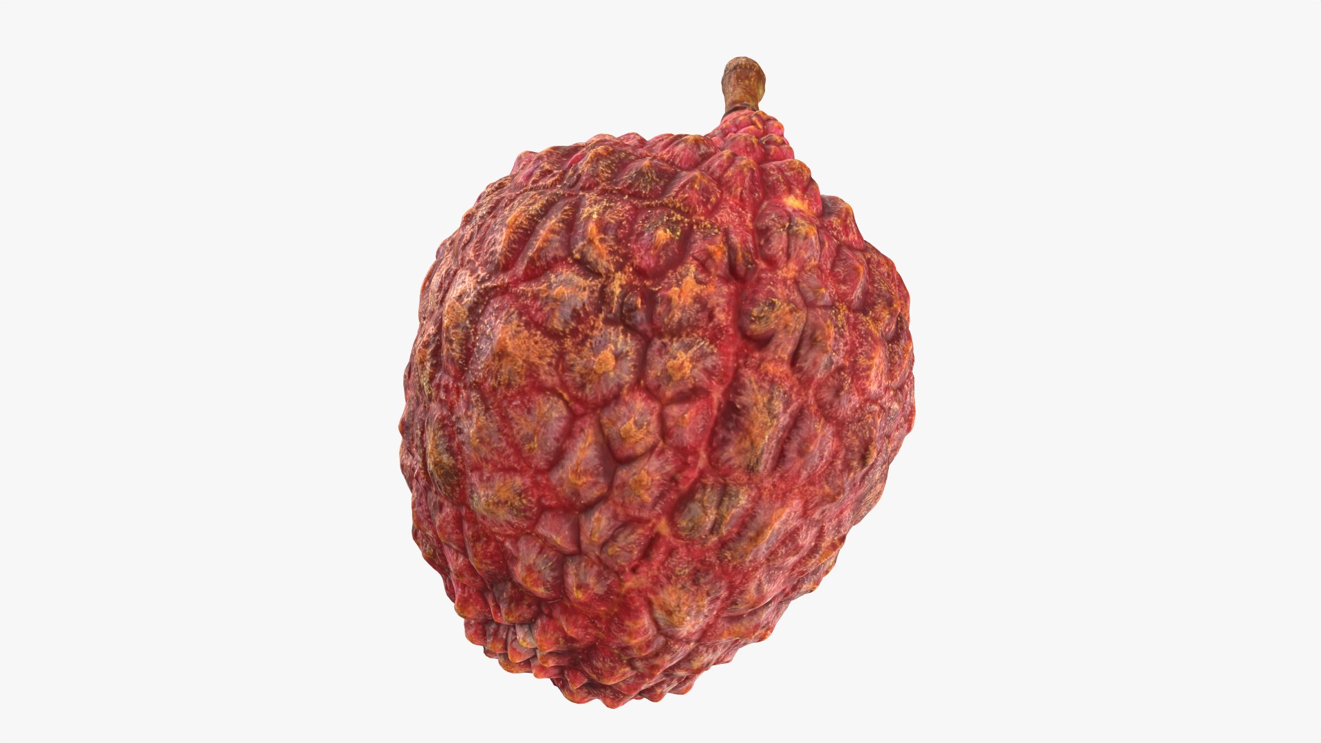 3D Half Lychee 01 https://p.turbosquid.com/ts-thumb/AY/Nsrugw/pF/lycheehalf01_0004/png/1759479261/1920x1080/fit_q87/051f194a5c1ad99fc15aade26ac656cf8804a299/lycheehalf01_0004.jpg