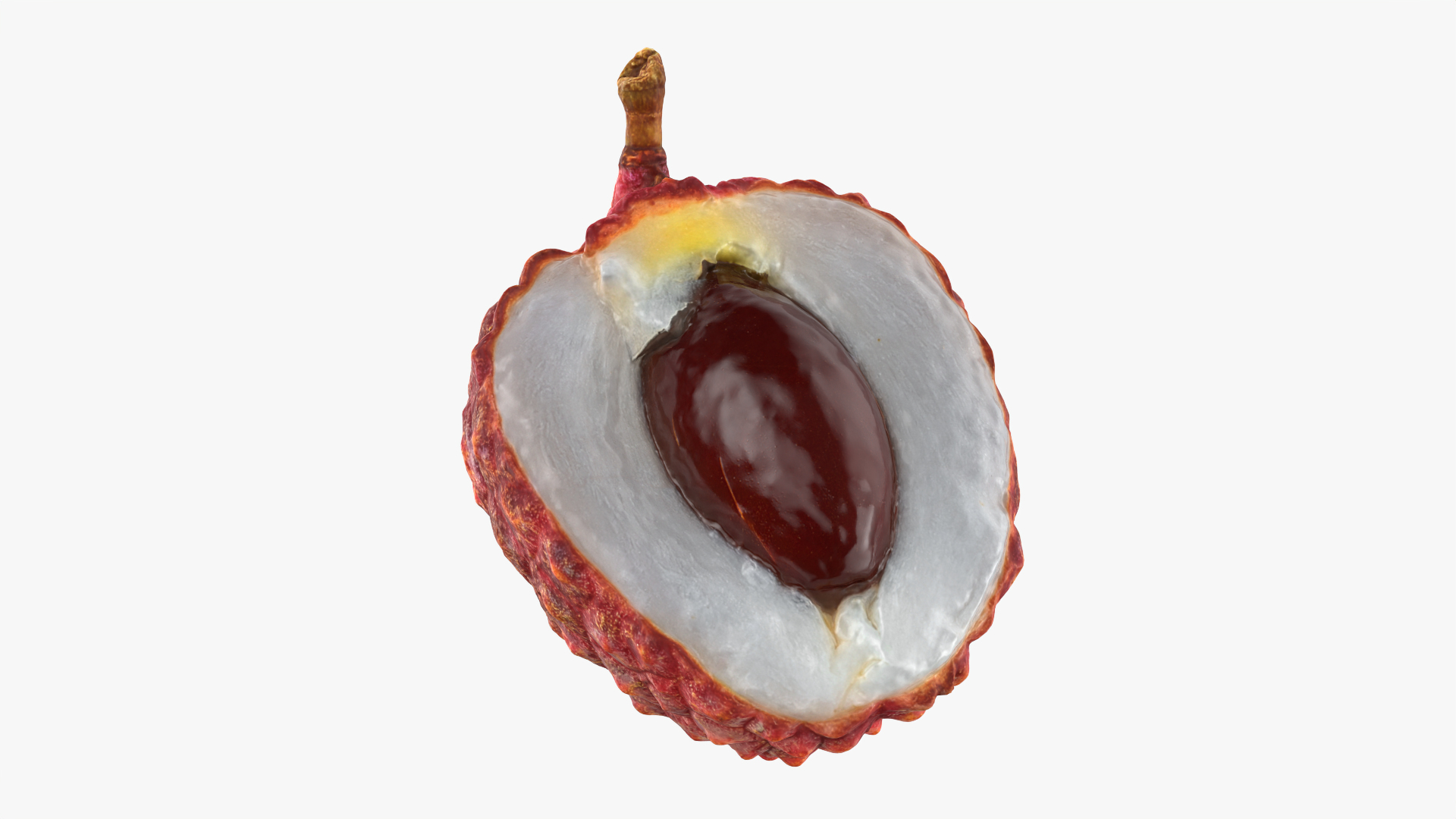 3D Half Lychee 01 https://p.turbosquid.com/ts-thumb/AY/Nsrugw/u5/lycheehalf01/png/1759479285/1920x1080/turn_fit_q99/0c5666550f8915312df906c7af576b192b131479/lycheehalf01-1.jpg