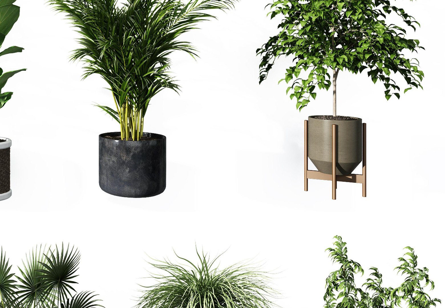 3D model plant Modern potted combination - TurboSquid 2124942