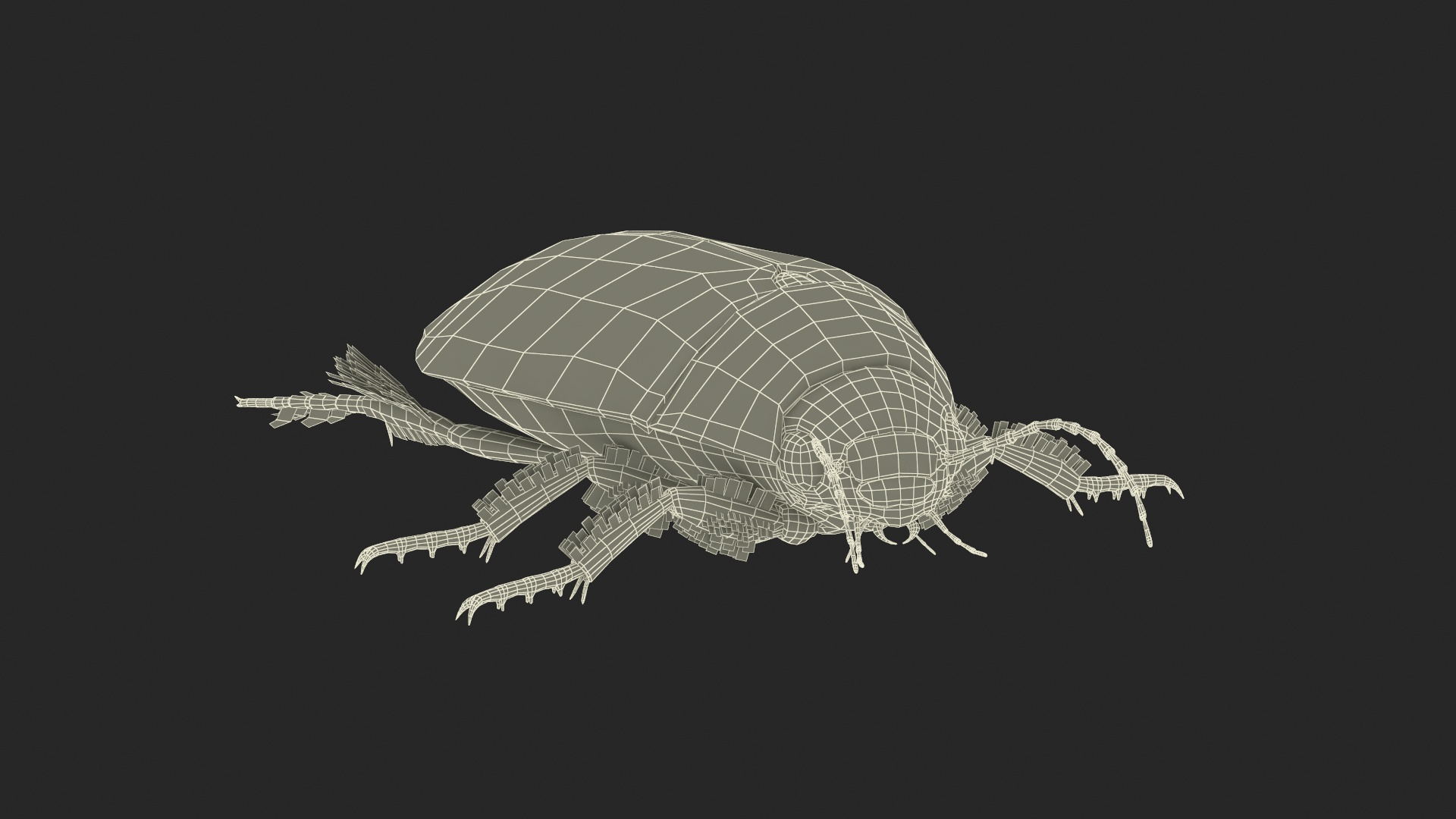 Insect Water Beetle Beige Rigged for Cinema 4D 3D https://p.turbosquid.com/ts-thumb/AY/VxUIoC/7K/insect_water_beetle_beige_rigged_361/jpg/1732636462/1920x1080/turn_fit_q99/755987911427bfc84b1a826f9214583985c80433/insect_water_beetle_beige_rigged_361-1.jpg