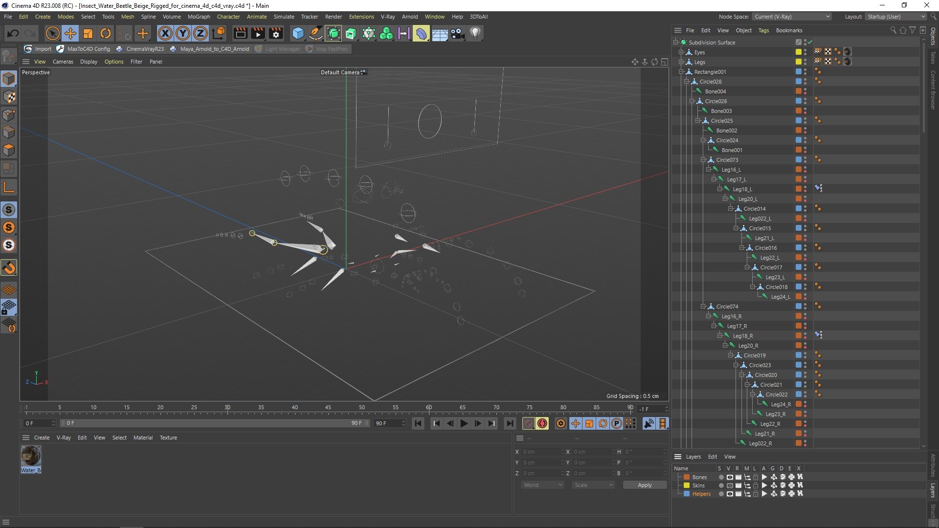 Insect Water Beetle Beige Rigged for Cinema 4D 3D https://p.turbosquid.com/ts-thumb/AY/VxUIoC/KT/insect_water_beetle_beige_rigged_for_cinema_4d_004/jpg/1732637229/1920x1080/fit_q87/02be1e72264d9ba5c28a7ce081b0010bc3fcba36/insect_water_beetle_beige_rigged_for_cinema_4d_004.jpg