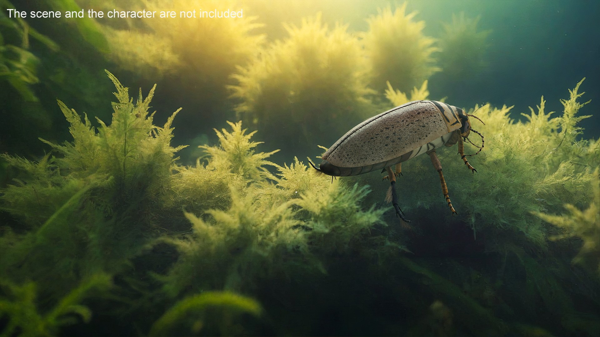 Insect Water Beetle Beige Rigged for Cinema 4D 3D https://p.turbosquid.com/ts-thumb/AY/VxUIoC/W7/insect_water_beetle_beige_rigged_005/jpg/1732636992/1920x1080/fit_q87/efbf96d320398496b7058e7c1d755dda9b91e079/insect_water_beetle_beige_rigged_005.jpg