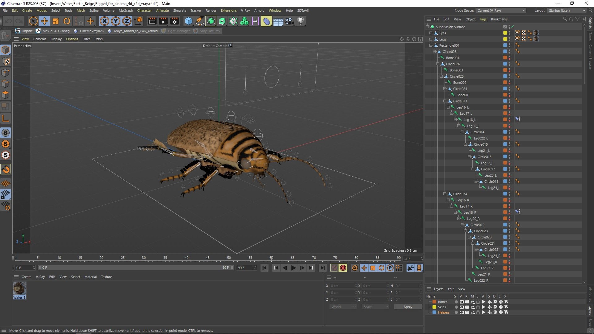Insect Water Beetle Beige Rigged for Cinema 4D 3D https://p.turbosquid.com/ts-thumb/AY/VxUIoC/xO/insect_water_beetle_beige_rigged_for_cinema_4d_003/jpg/1732637222/1920x1080/fit_q87/7c0dc2945becbe55e22480fde59d63d12fb34c80/insect_water_beetle_beige_rigged_for_cinema_4d_003.jpg