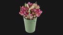 Flowers In Bucket 02
