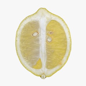 3D Lemon 02 Cut 1