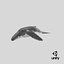 humpback whale pose 3 3d c4d